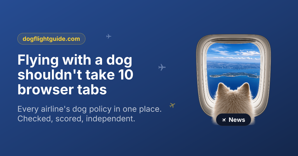 Flying with a dog shouldn't take 10 browser tabs