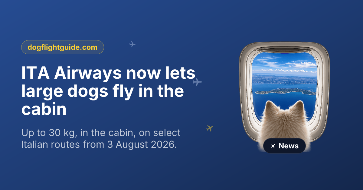 ITA Airways now lets large dogs fly in the cabin