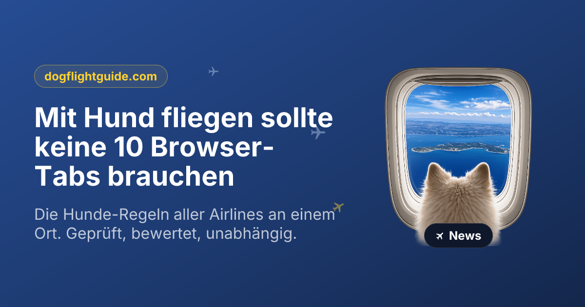 Mit Hund fliegen sollte keine 10 Browser-Tabs brauchen