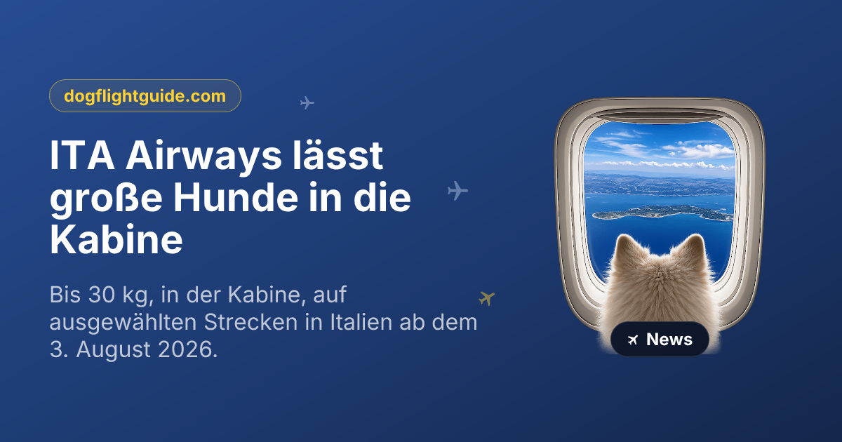 ITA Airways lässt große Hunde in die Kabine