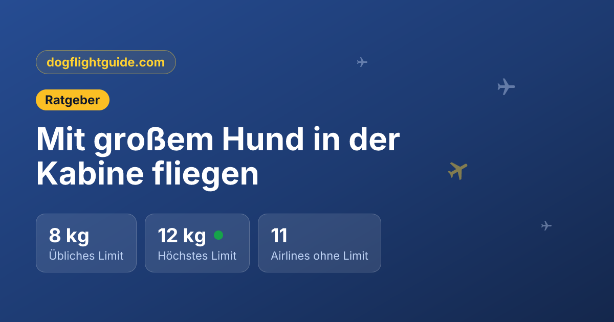 Mit großem Hund in der Kabine fliegen