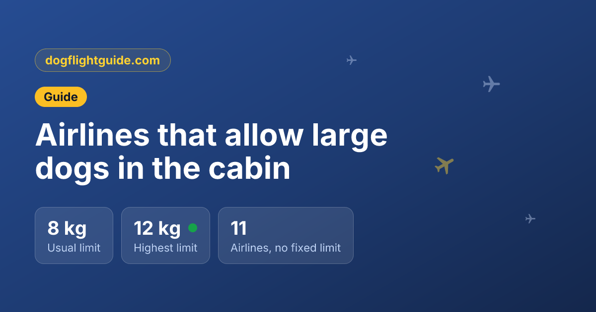 Airlines that allow large dogs in the cabin